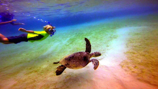 Hawai‘i Surf and Kayak