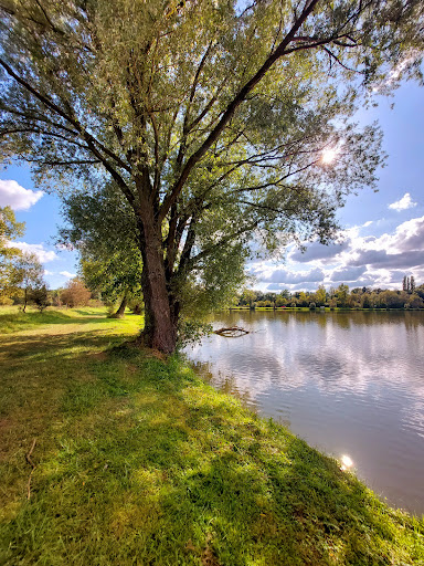 Wörthsee - Visual
