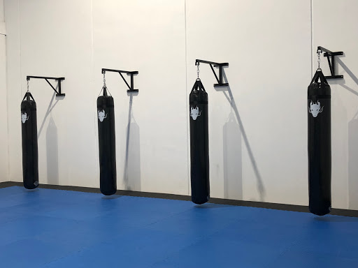 Black Dragon Taekwondo & Fitness - Thumbnail