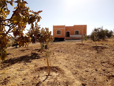 Photos of سوبرماكت الخيرات