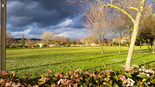 Parco urbano dell'Ambrogiana - Ovest - Thumbnail