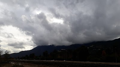 Photos of Lo Gallo Park