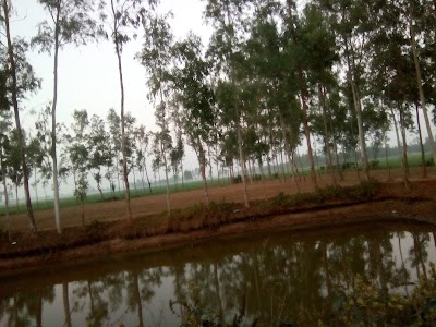 Photos of Fuldighi Eidgah Math