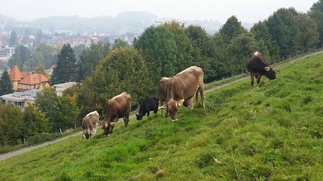 Dreilinden Freibäder