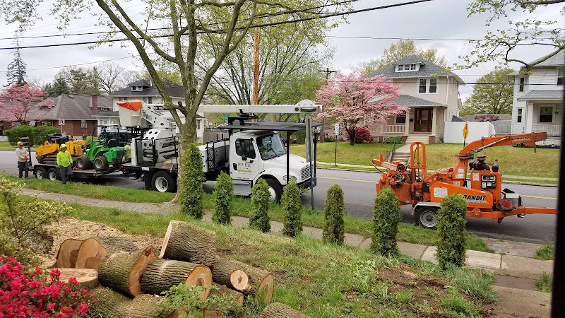Pell Tree Company