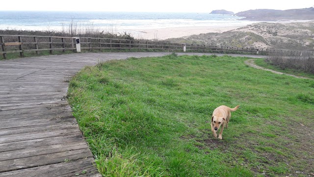 Praia de Doniños