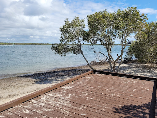 Paradise Mangrove boardwalk - Thumbnail