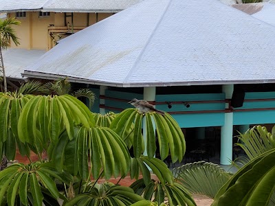 Photos of Gran Paradise