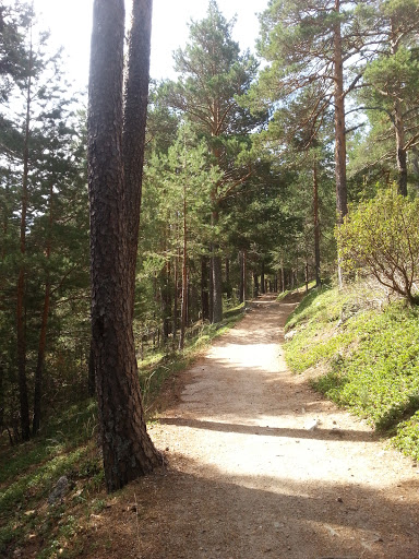 Madrid Ecotour - Thumbnail