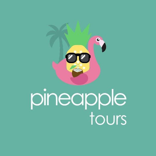 pineapple tours mid - Visual