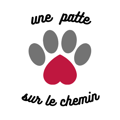 Une patte sur le chemin - Médiation par l'animal - Thumbnail