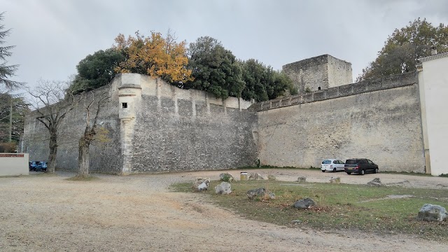 Château des Adhémar