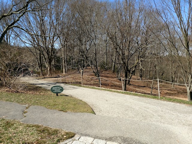 Arnold Arboretum of Harvard University