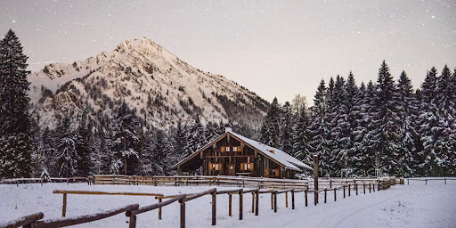 Saurüsselalm - Visual