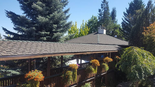 Skye Roofing - Visual