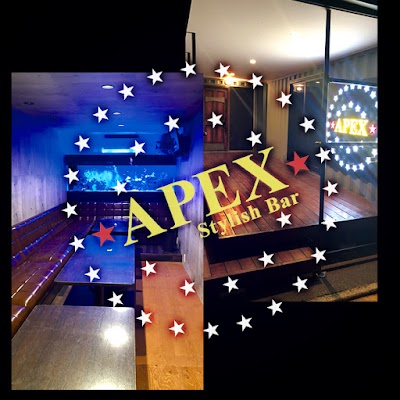 Stylish Bar APEX