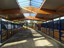 Haras de Saint-Blaize à Isigny-sur-Mer