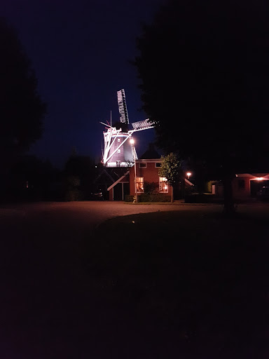 The Lion Gallery - Netherlands