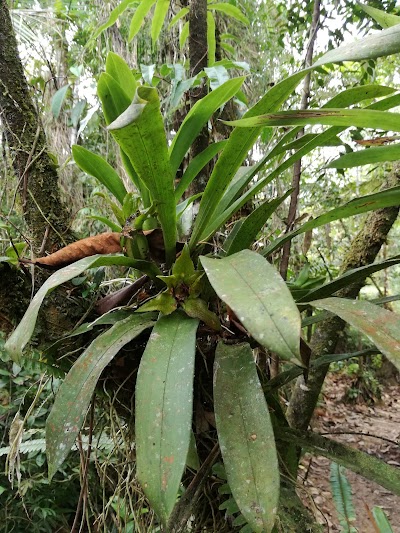 Photos of Wildlife Refuge La Marta