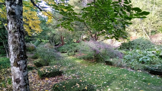 Arboretum de la Sédelle