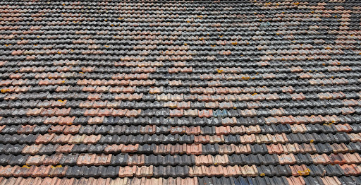 Ray Trigsted Roofing - United States