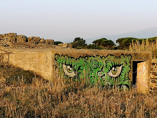 Sur le chemin des bunkers - Thumbnail