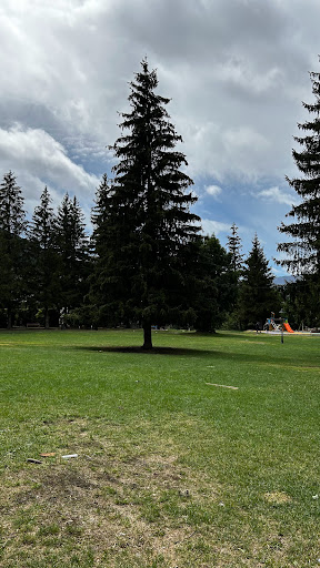 Roser Park - Visual