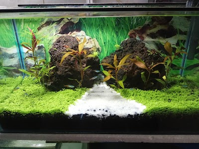 Photos of Enggal Aquarium