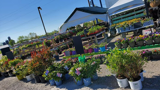 Troy Produce Patch - Visual