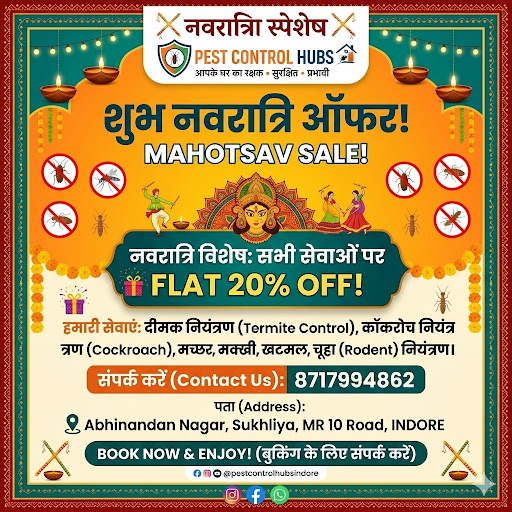 Festival Offers post image