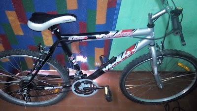 Photos of Bianchi Motos