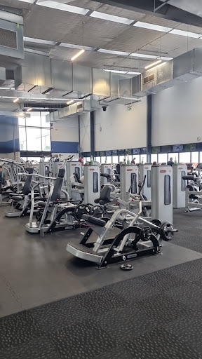 CityFitness Westgate