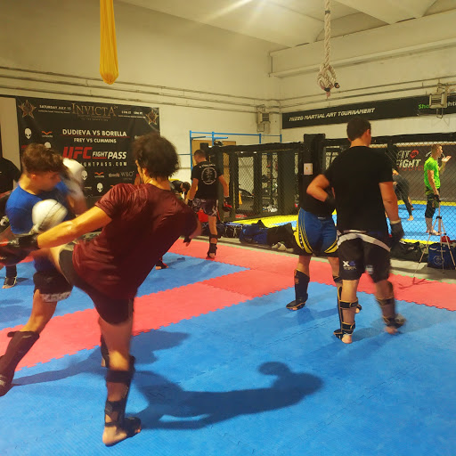 FIGHT STUDIO - Visual