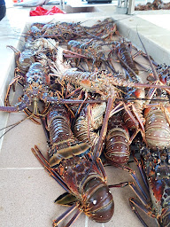 Photo n°70 de Restaurant La Baie à La Trinité (Restaurant créole)