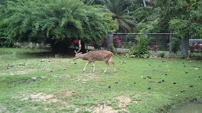 Photos of Galang Island