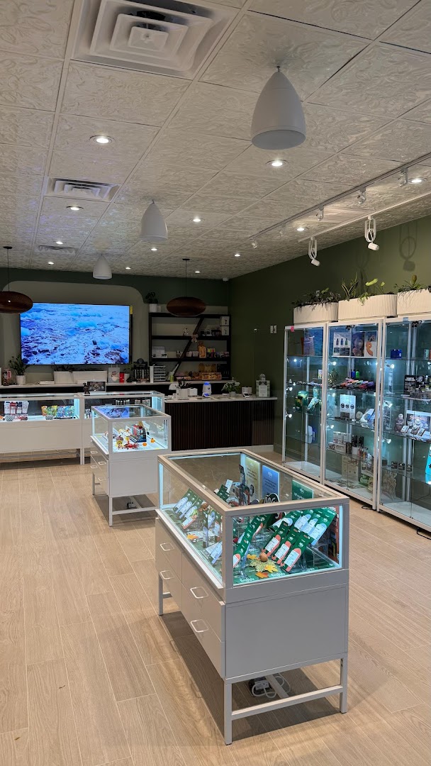 Green Comfort photo 5