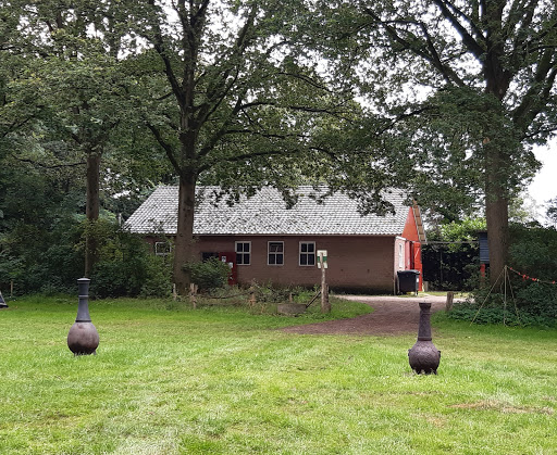 Landgoed Het Zand Hattemer Oldenburger - Thumbnail