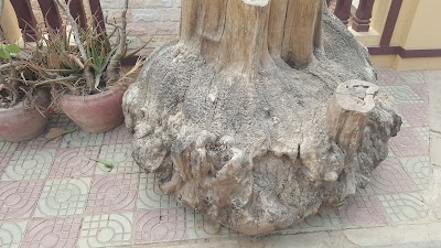 Photos of Tudongk Chamkar Doung Pagoda