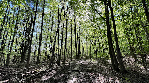 Wheeler Nature Park - Thumbnail