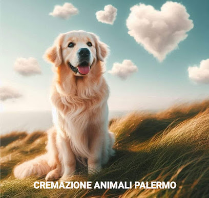 Cremazione Animali Palermo