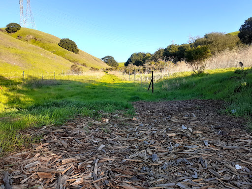 Coronado Canyon Trailhead - Thumbnail