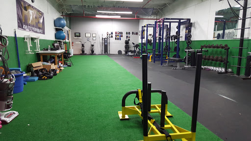 Hop's Athletic Performance - Visual