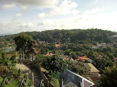 Photos of 36 Bed & Breakfast