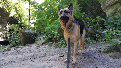Photos of Matthiessen State Park