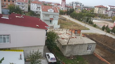 Photos of Child park
