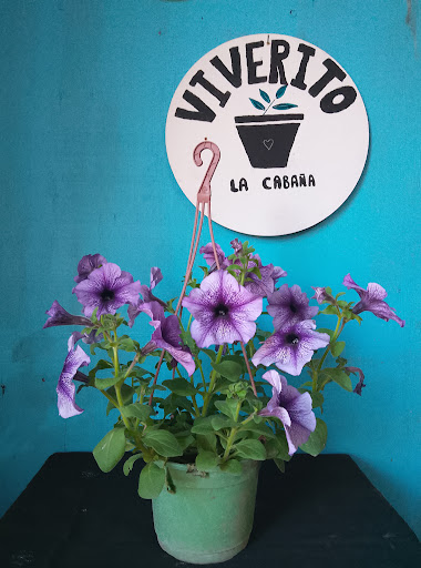 Vivero La Cabaña - Foto 1