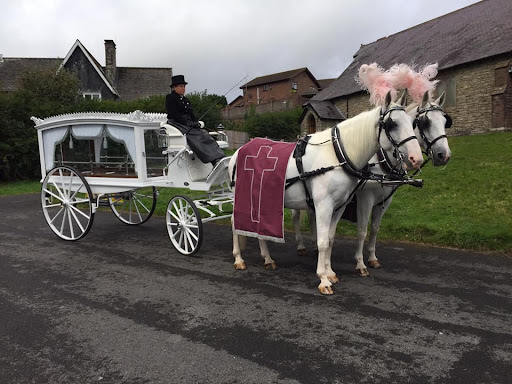South Wales Horse Drawn Funerals - Thumbnail