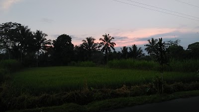 photo of Candi Asu