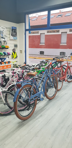 La Ciclofficina di Gianfranco Gallery - Italy