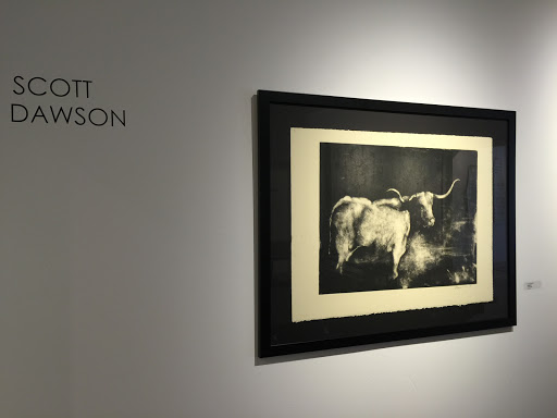 CINQ Gallery - Visual